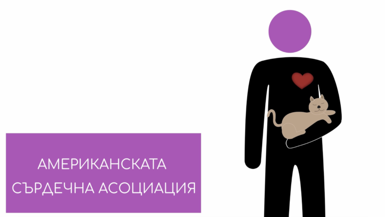 Епизод 19: Домашни любимци